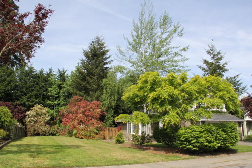 Lower level fireplace